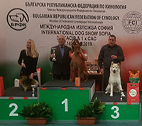 Фрея стана Шампион на България!