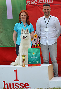 Саша печели на изложбата в София!