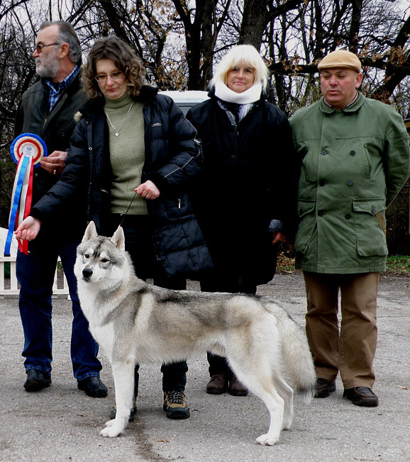 CACIB Haskovo 2013 - Junior BIS