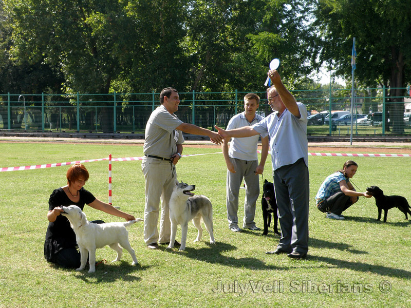 Международна изложба в Пловдив - 29.09.2012