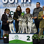 Нови успехи и шампионски титли на изложбите в София!