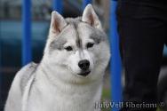 1718732051-0.jpg