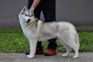 1718732128-0.jpg